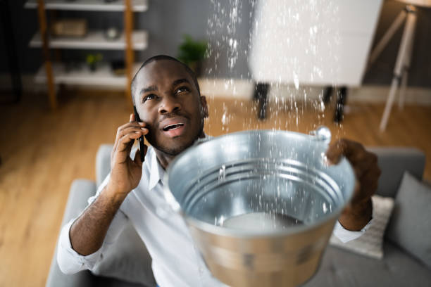 Best Water damage restoration mold remediation  in Manatee Road, FL