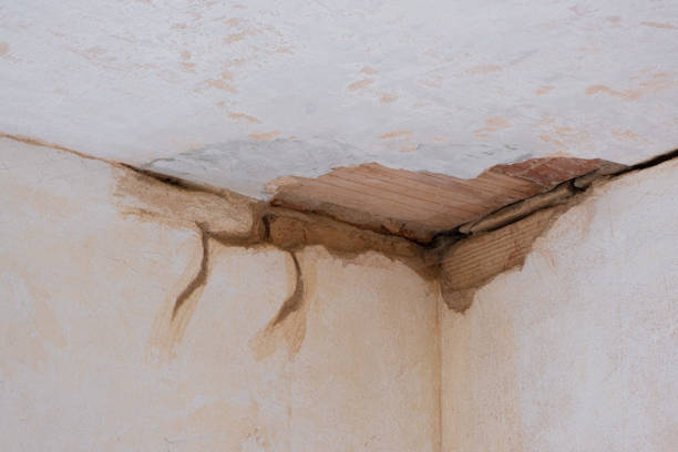  Manatee Road, FL Water damage restoration Pros
