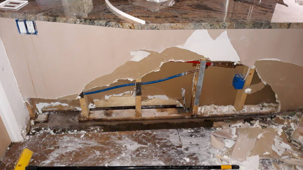 Best Flood restoration services  in Manatee Road, FL