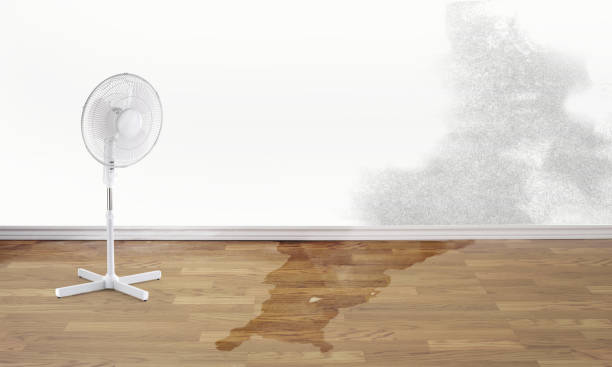 Best 24/7 water damage repair  in Manatee Road, FL