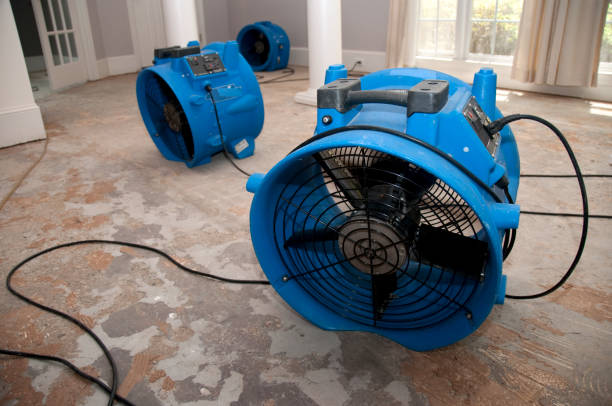 Best Mold removal after water damage  in Manatee Road, FL
