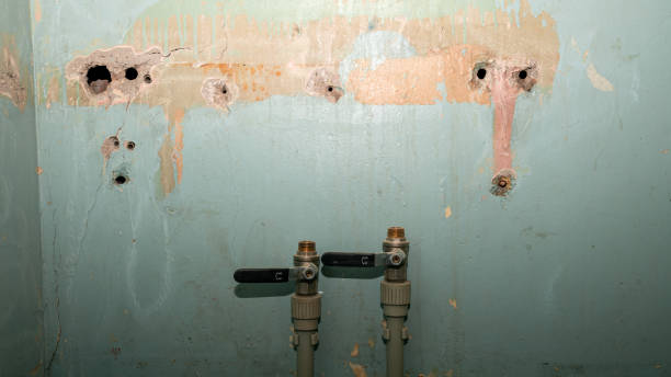 Best Basement water damage restoration  in Manatee Road, FL