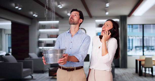 Best Water damage restoration near me  in Manatee Road, FL